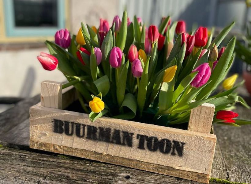 Tulpen voor leden